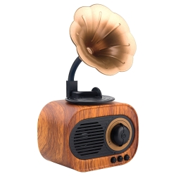 TORETO GROOVE PARTY SPEAKER