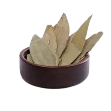 Loose Ajma