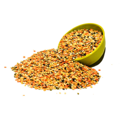 Surti Mix Pani Puri Masala - Regular