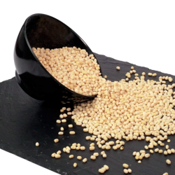 Browntop Millet ( Harikangani )