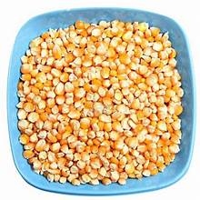 Surti Mix Khajur Imli Chatni Bottel